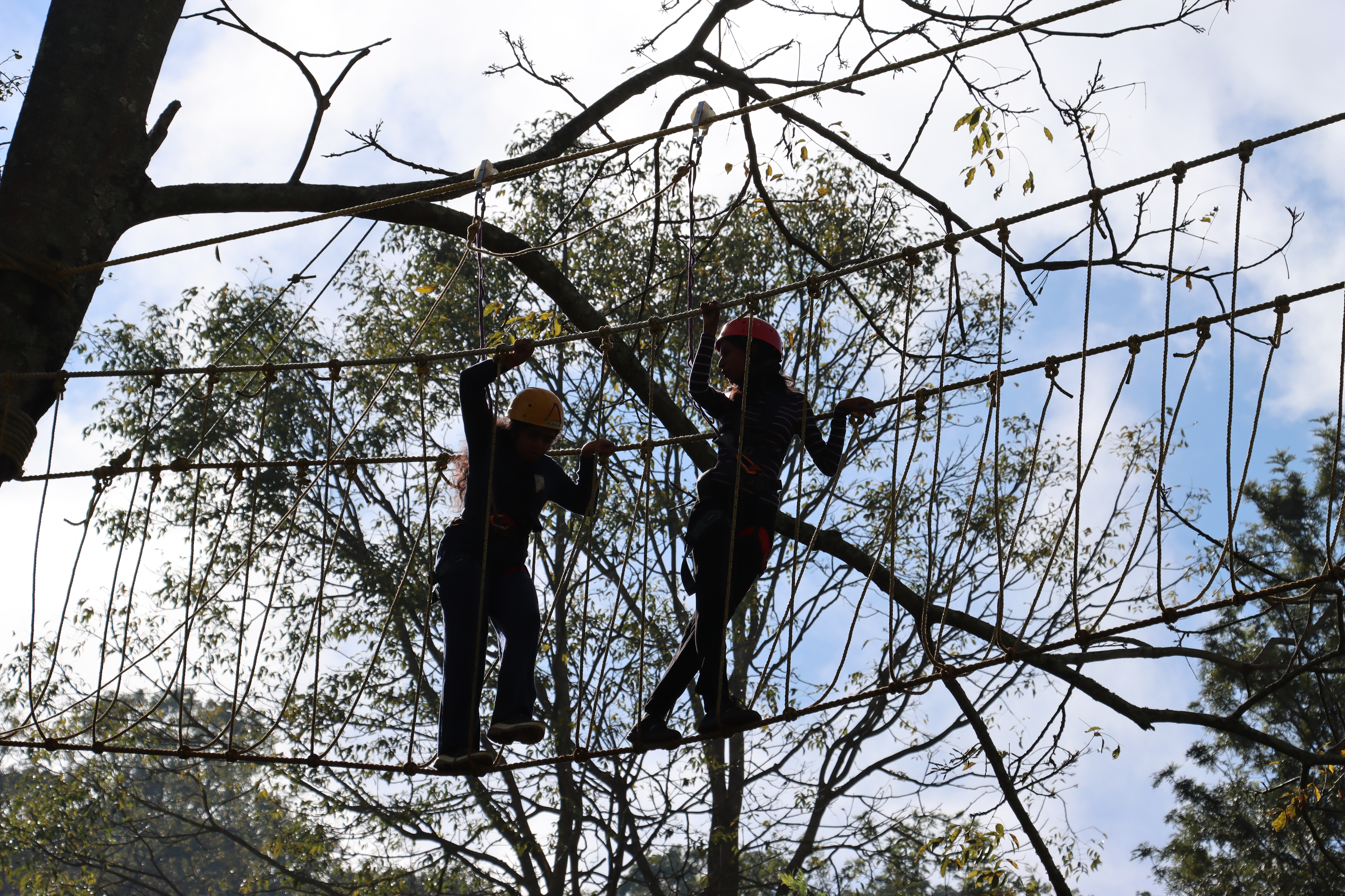 AWS students on the high-ropes adventure course