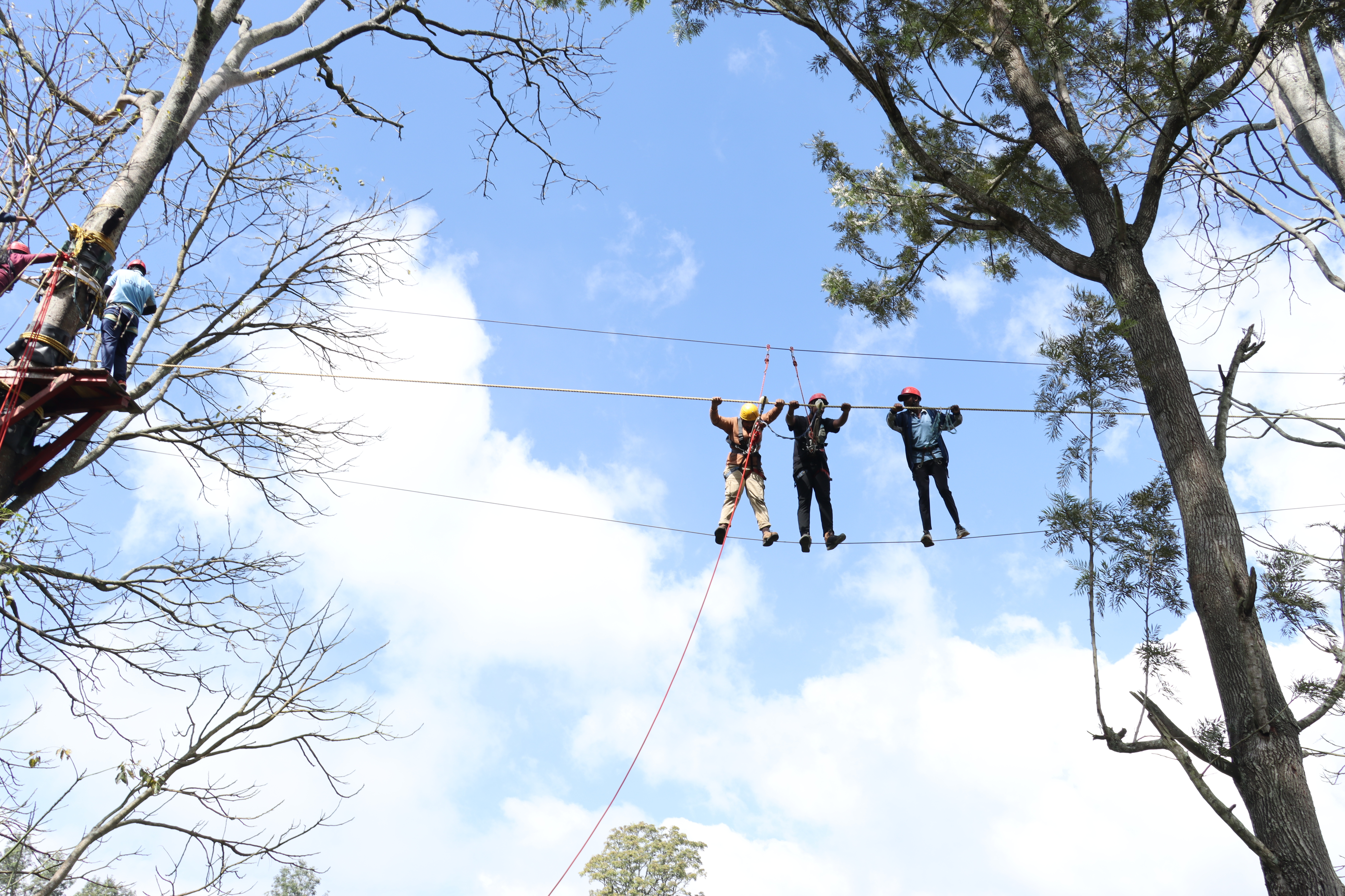 AWS students walking the high-ropes course in the trees
