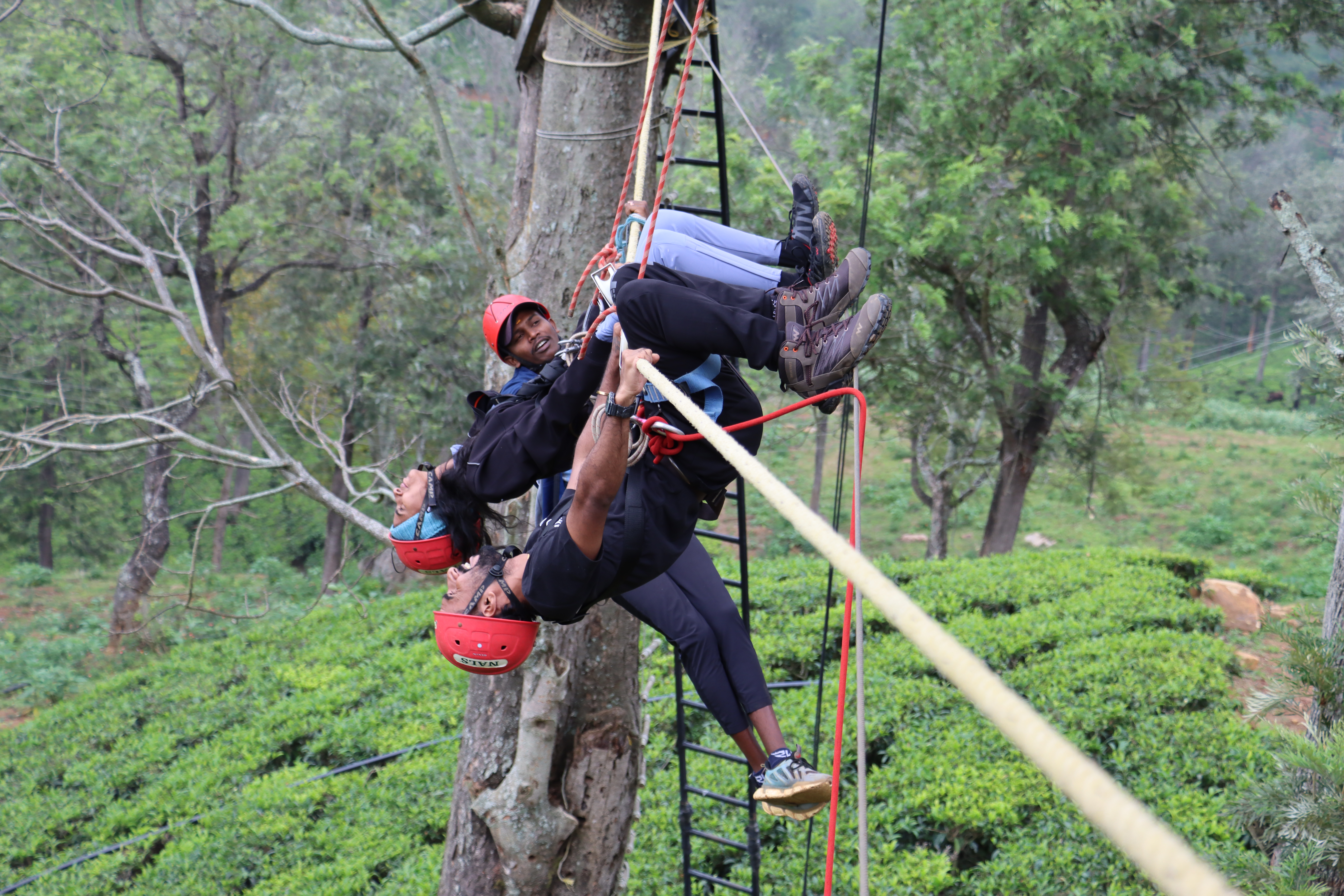 Two AWS students climbing a tree-ladder with harnesses