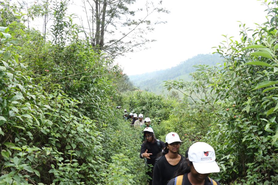 2026 â€“ Future Pathway